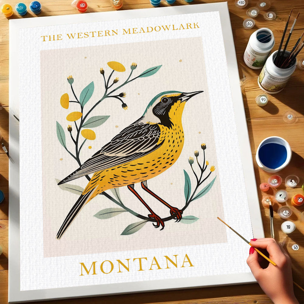 Montana State Bird Western Meadowlark | Paint by Numbers Kit