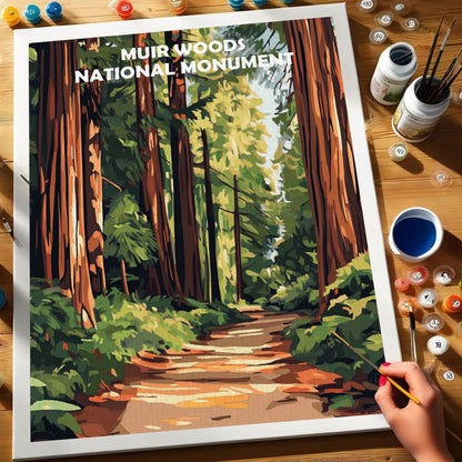 Muir Woods National Monument | Paint by Numbers Kit