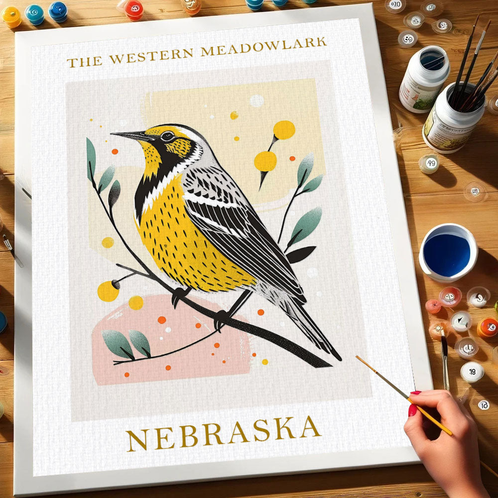 Nebraska State Bird Western Meadowlark | Paint by Numbers Kit