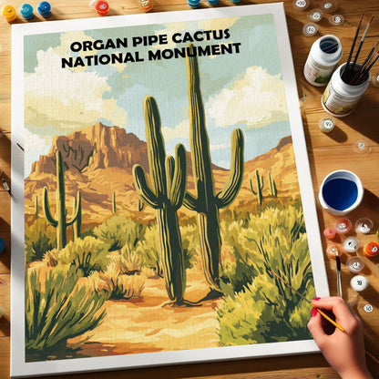 Organ Pipe Cactus National Monument | Paint by Numbers Kit