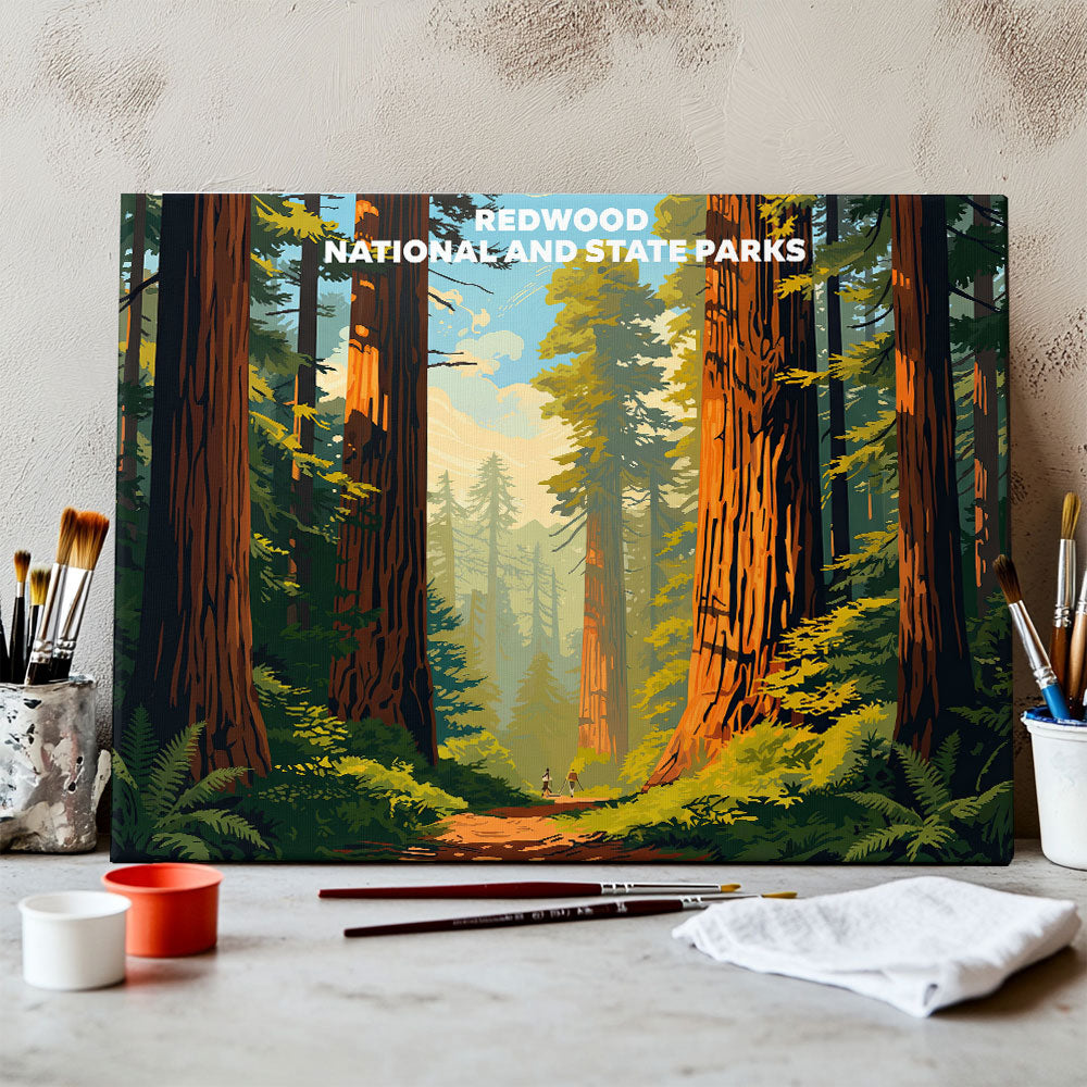 Redwood National and State Parks - Landscape | Paint by Numbers Kit