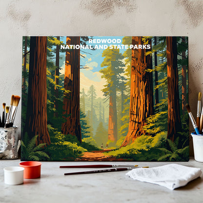 Redwood National and State Parks - Landscape | Paint by Numbers Kit
