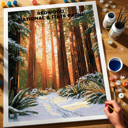 Redwood National and State Parks Winter | Paint by Numbers Kit