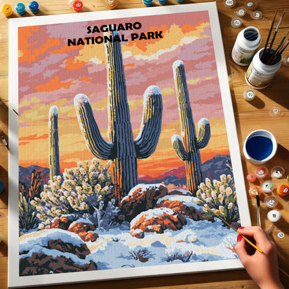 Saguaro National Park Winter | Paint by Numbers Kit