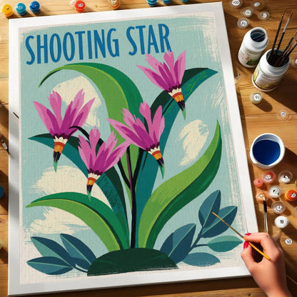 Shooting Star - US Wildflowers | Paint by Numbers Kit