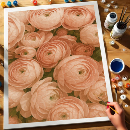 Peach Ranunculus | Paint by Numbers Kit