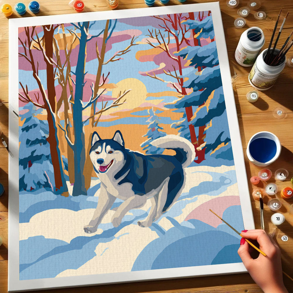 Denali NP - Husky | Paint by Numbers Kit