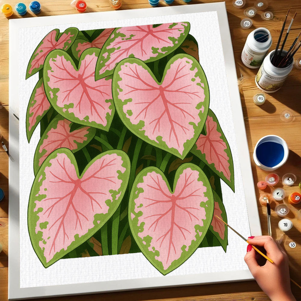 3D Caladium|Paint by Numbers Kit