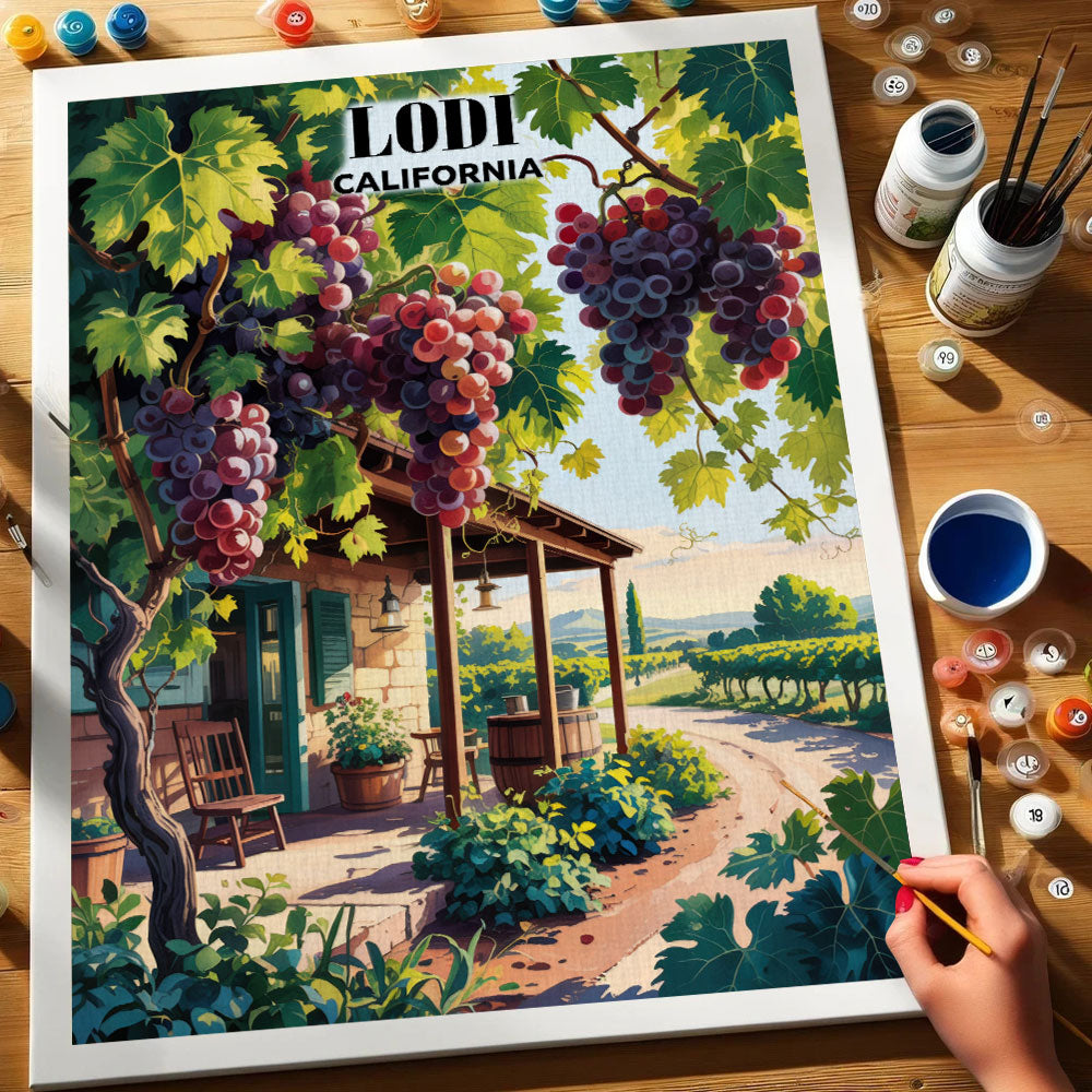 Lodi Wineries, California | Paint by Numbers Kit