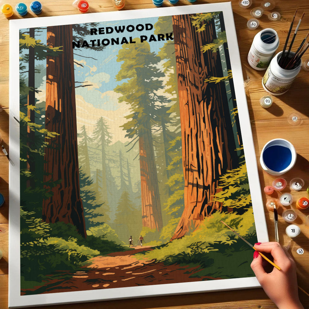 Redwood National and State Parks | Paint by Numbers Kit