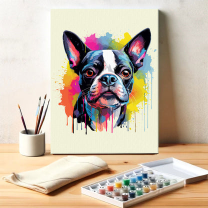 Boston Terrier - Colorful Dog | Paint by Numbers Kit