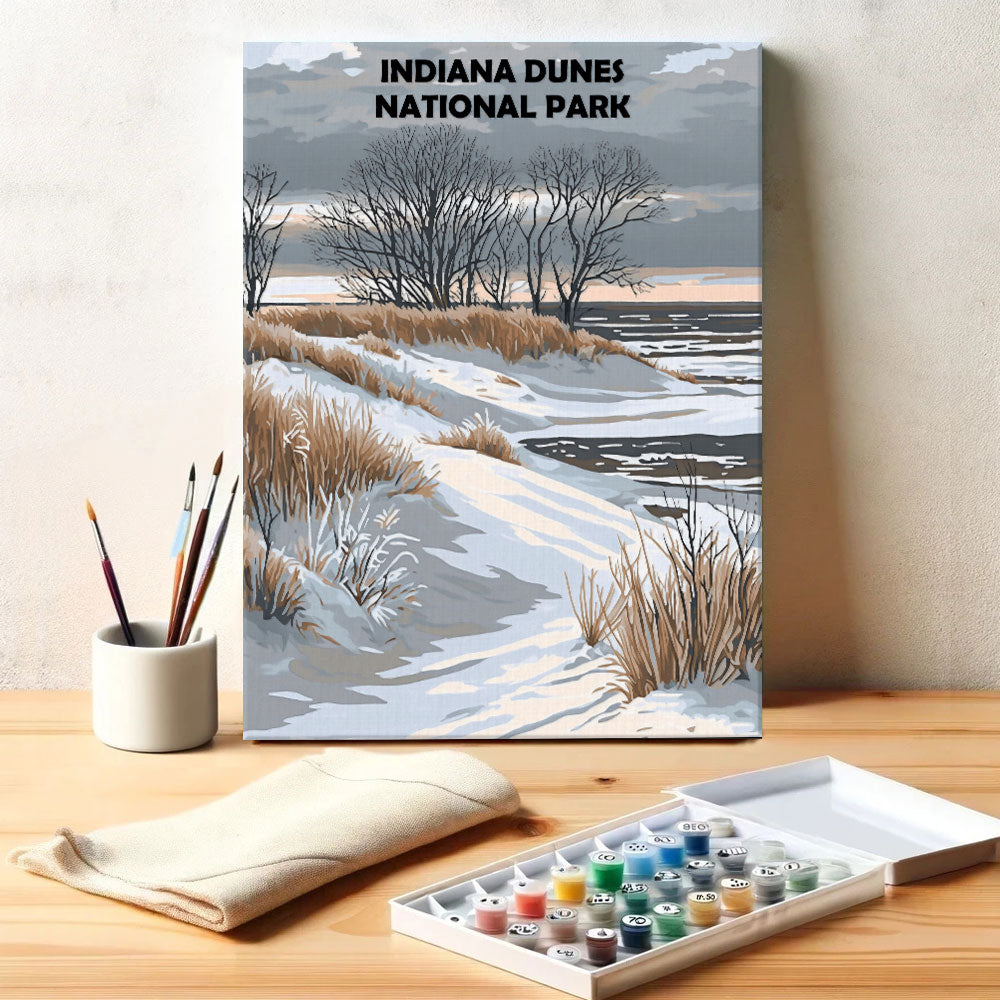 Indiana Dunes National Park Winter | Paint by Numbers Kit