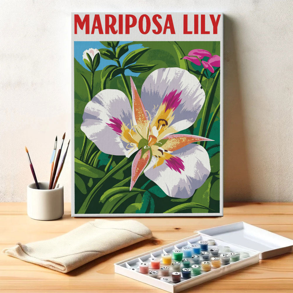 Mariposa Lily - US Wildflowers | Paint by Numbers Kit