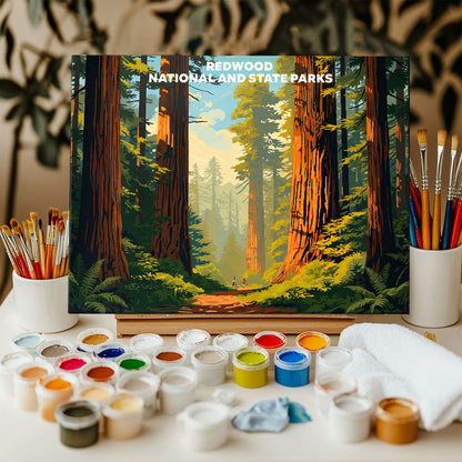Redwood National and State Parks - Landscape | Paint by Numbers Kit