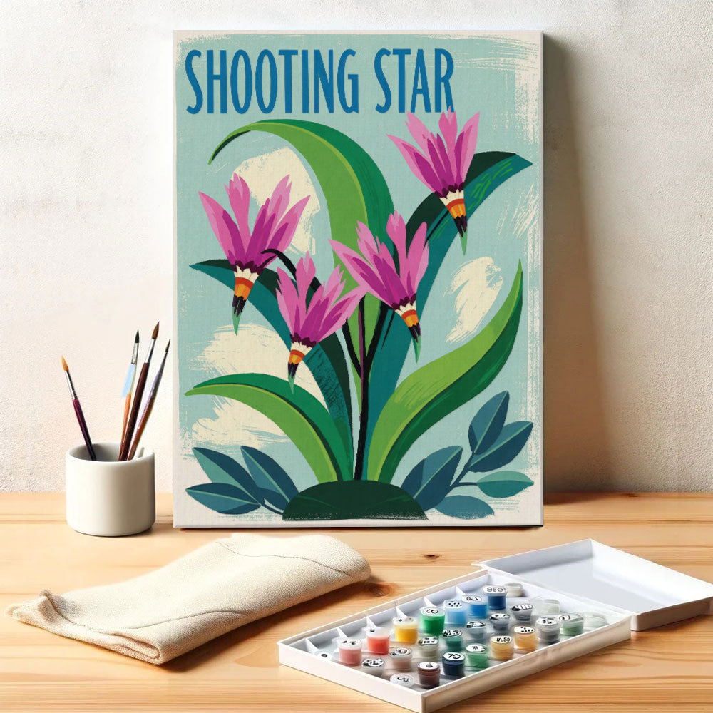 Shooting Star - US Wildflowers | Paint by Numbers Kit