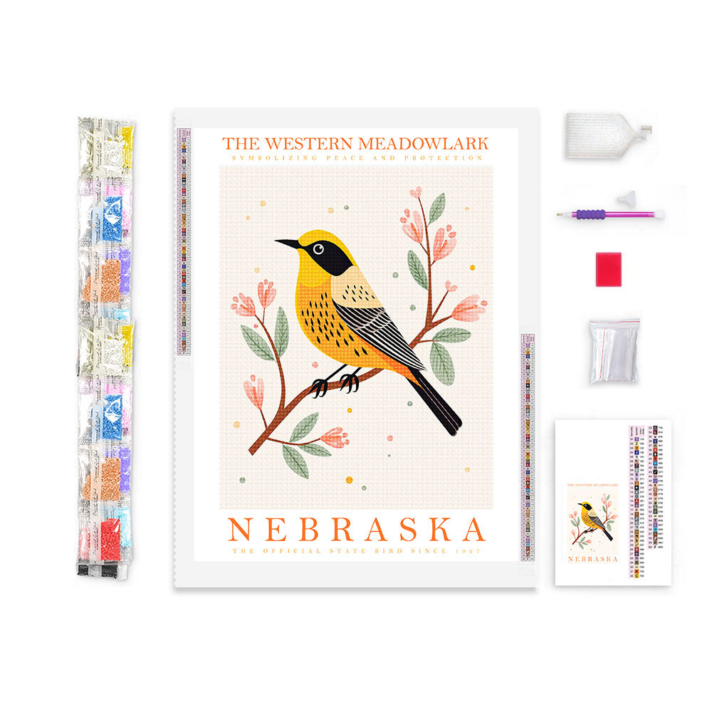 Nebraska State Bird Diamond Painting