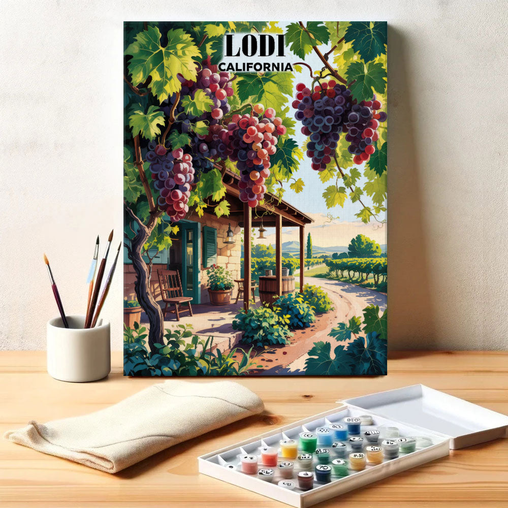 Lodi Wineries, California | Paint by Numbers Kit