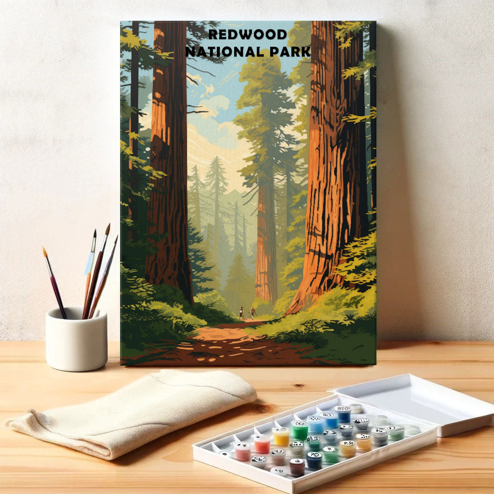 Redwood National and State Parks | Paint by Numbers Kit