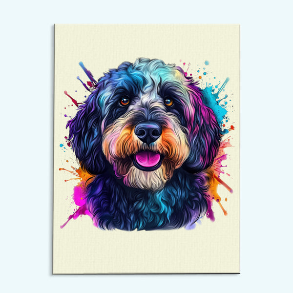 Black Labradoodle - Colorful Dog