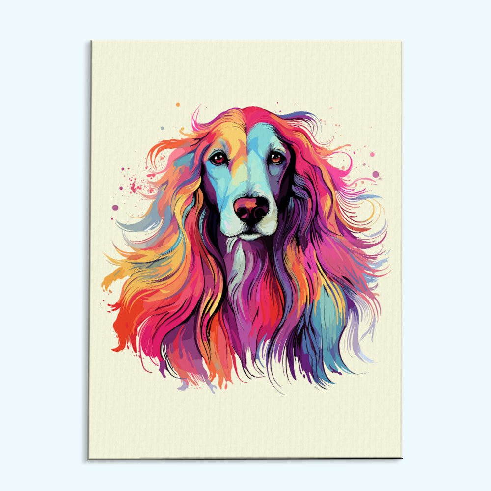 Afghan Hound - Colorful Dog | Paint by Numbers Kit