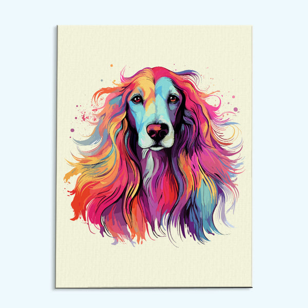 Afghan Hound - Colorful Dog