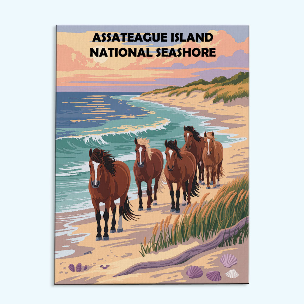 Assateague Island National Seashore | Paint by Numbers Kit