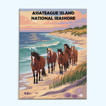 Assateague Island National Seashore | Paint by Numbers Kit