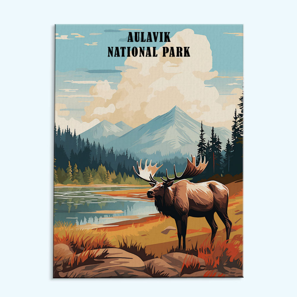 Aulavik National Park | Paint by Numbers Kit