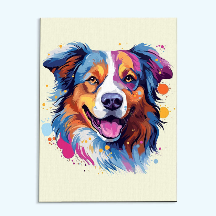 Australian Shepherd - Colorful Dog