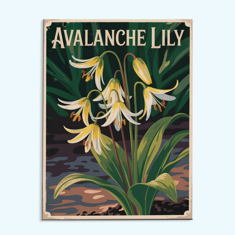 Avalanche Lily - US Wildflowers | Paint by Numbers Kit