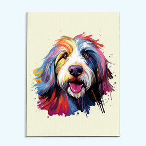 Bearded Collie - Colorful Dog | Paint by Numbers Kit