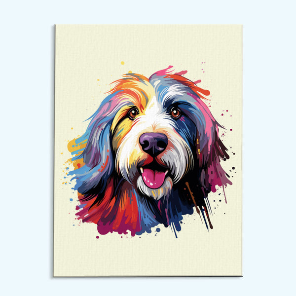 Bearded Collie - Colorful Dog