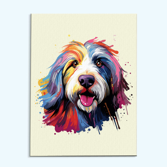 Bearded Collie - Colorful Dog
