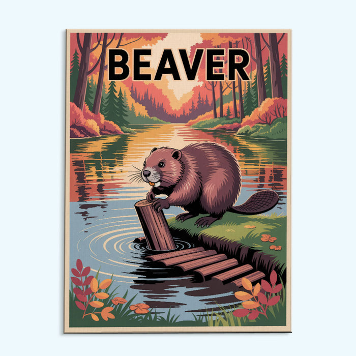 Beaver - National Park Wildlife