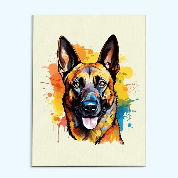 Belgian Malinois - Colorful Dog