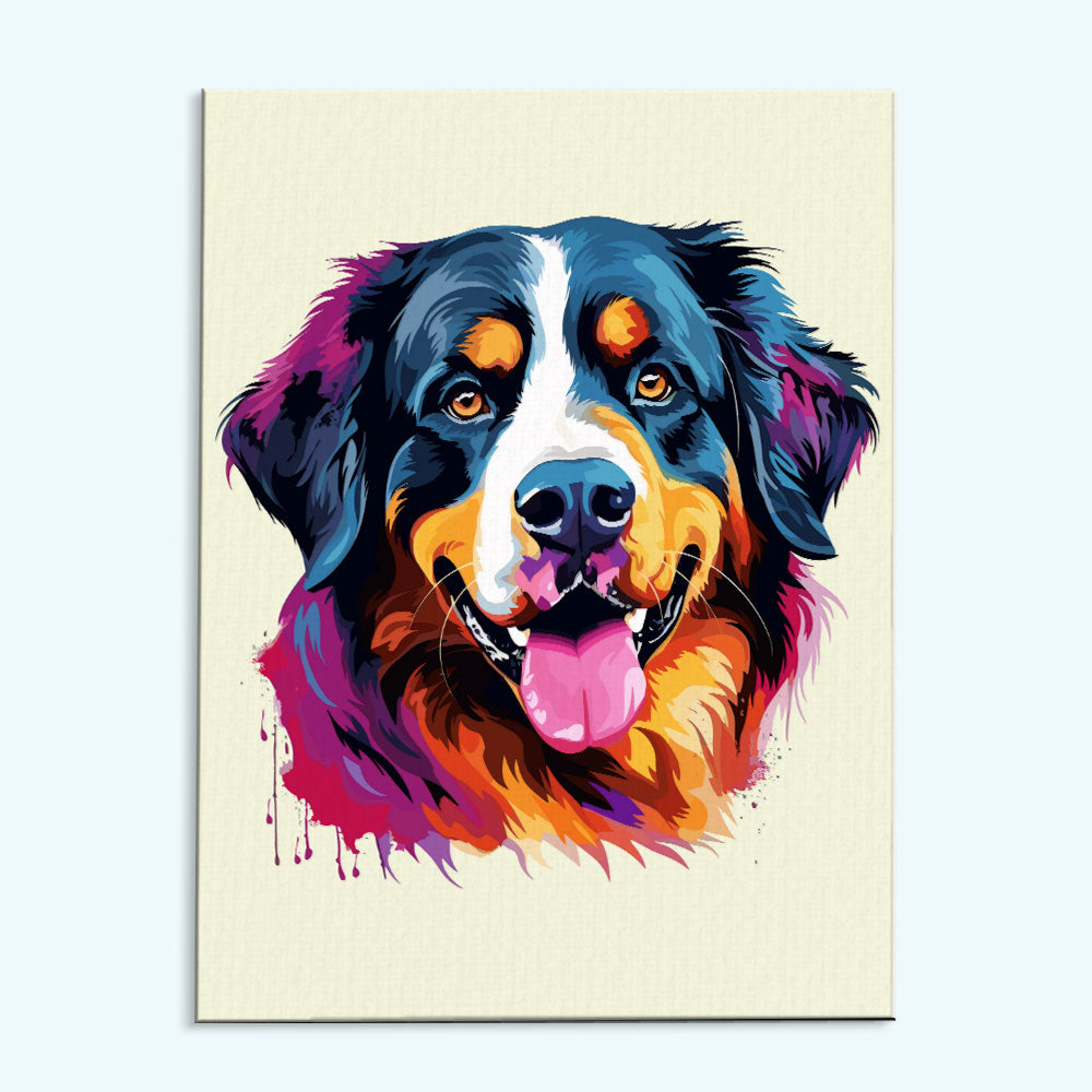 Bernese Mountain - Colorful Dog | Paint by Numbers Kit