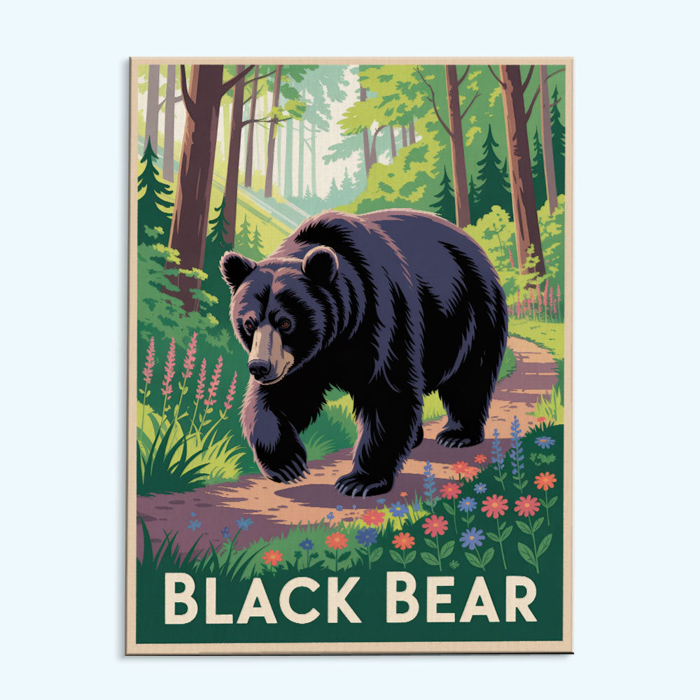 Black Bear - National Park Wildlife | Paint by Numbers Kit