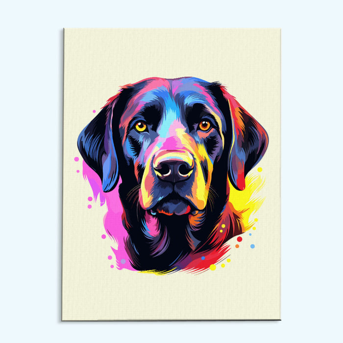 Black Labrador - Colorful Dog