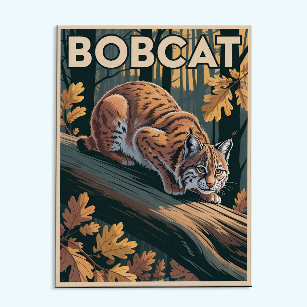 Bobcat - National Park Wildlife | Paint by Numbers Kit