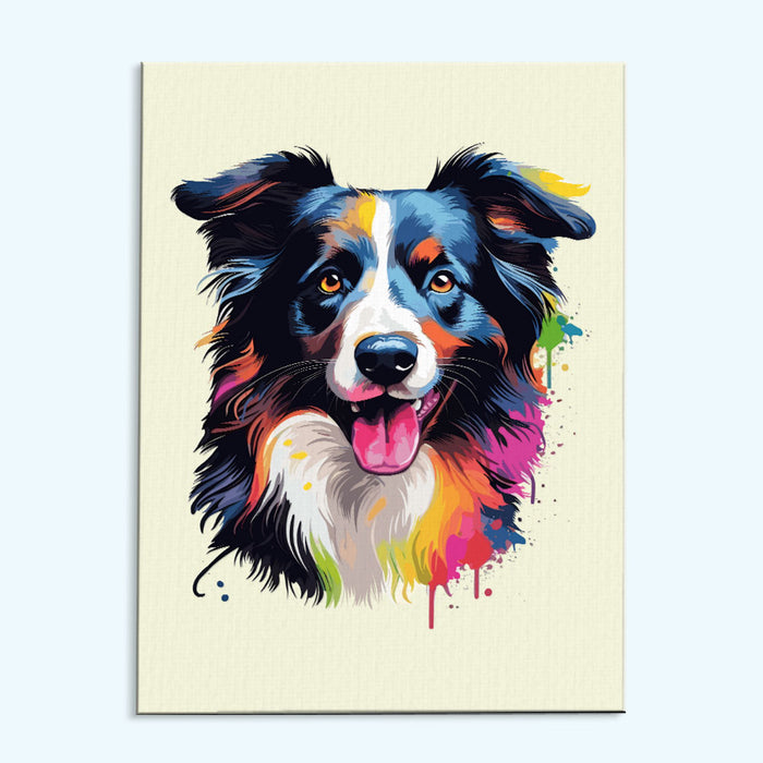Border Collie - Colorful Dog