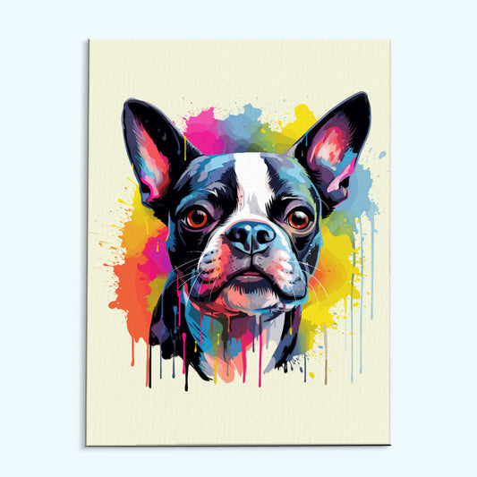 Boston Terrier - Colorful Dog | Paint by Numbers Kit