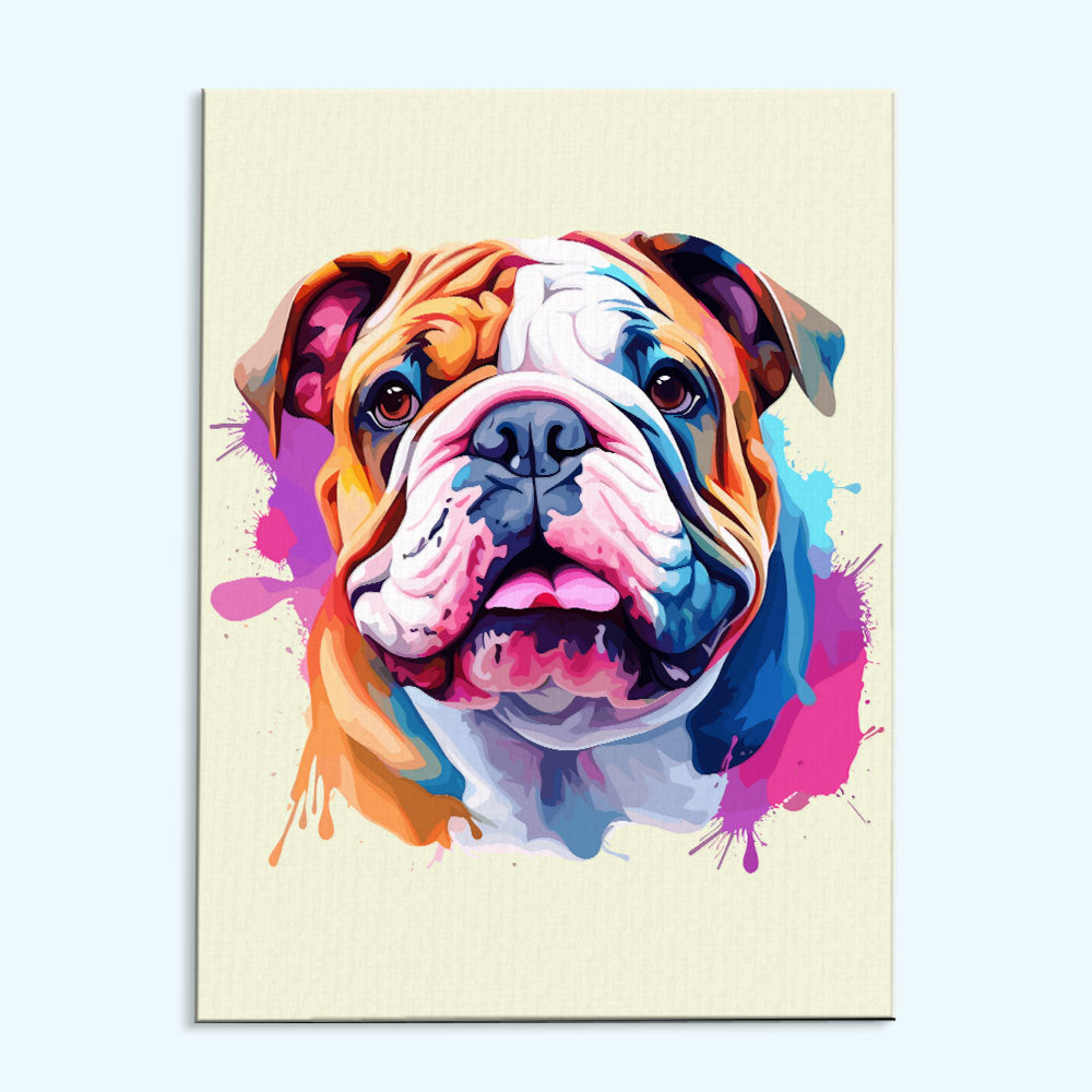 Bulldog - Colorful Dog | Paint by Numbers Kit