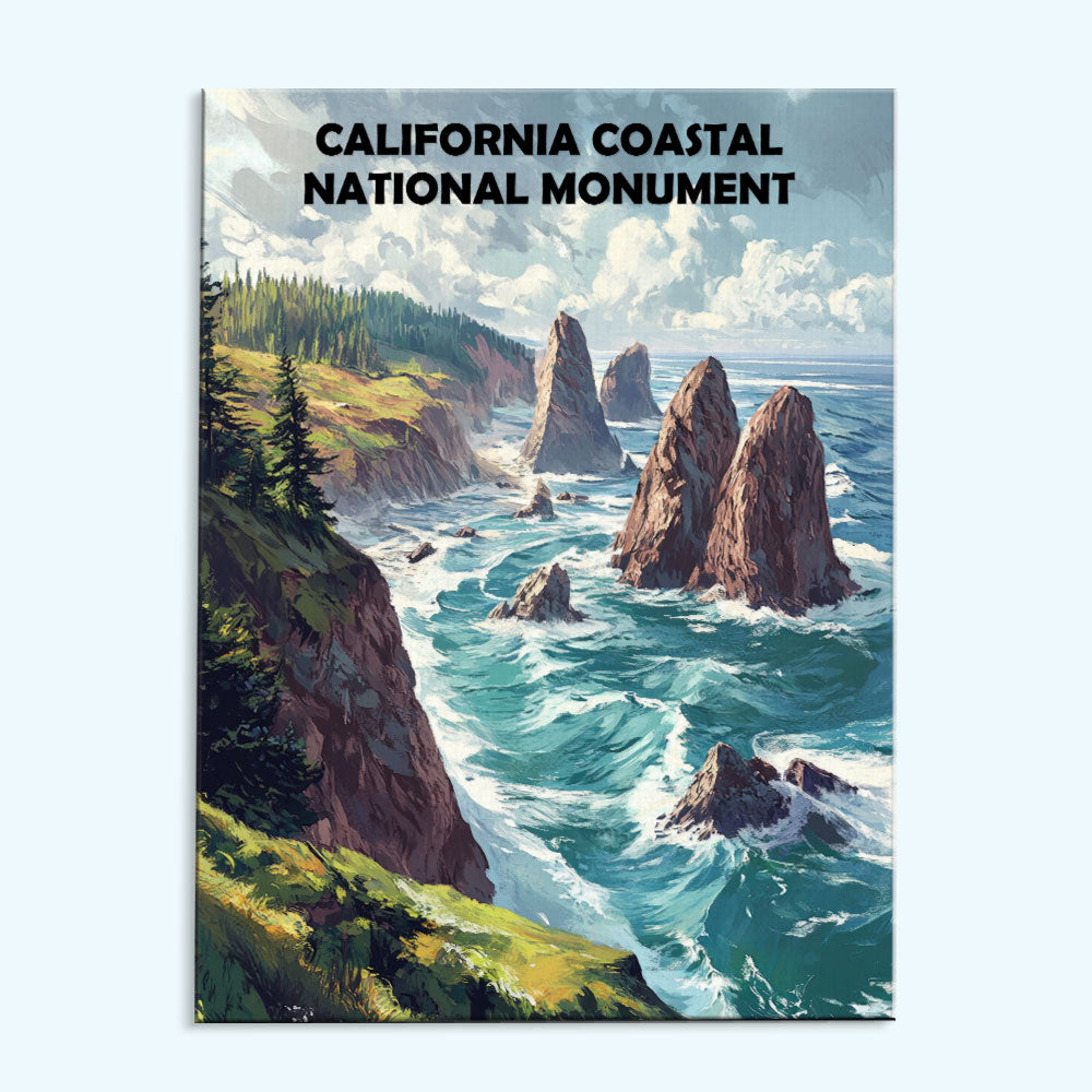 California Coastal National Monument | Paint by Numbers Kit