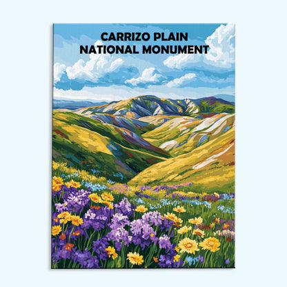 Carrizo Plain National Monument | Paint by Numbers Kit