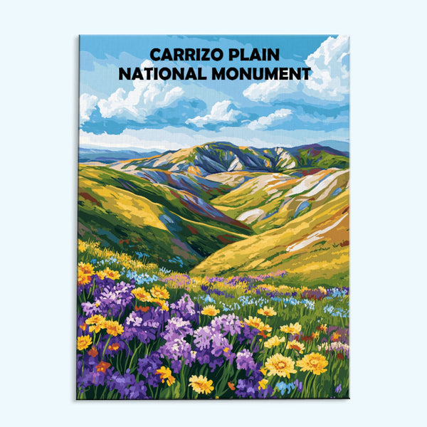 Carrizo Plain National Monument