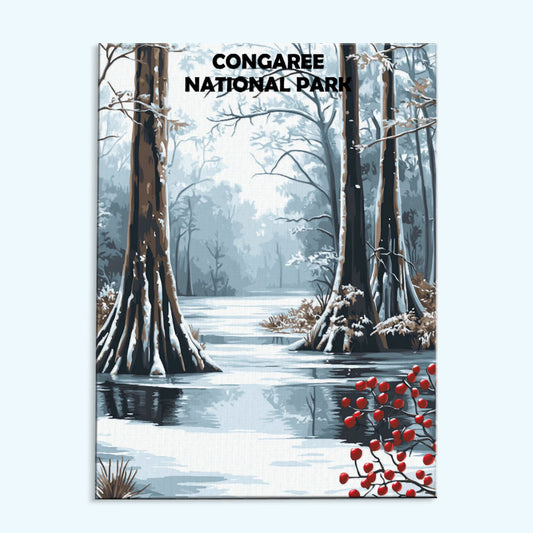 Congaree National park Winter | Paint by Numbers Kit