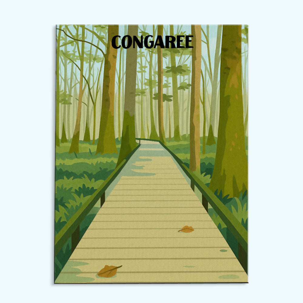 Congaree National Park Beginner | Paint by Numbers Kit