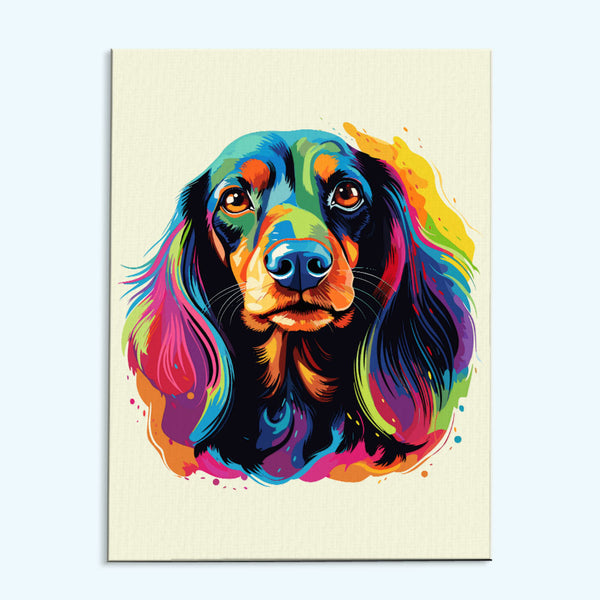 Dachshund - Colorful Dog