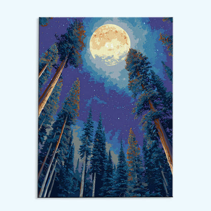 Deep Solitude | Paint by Numbers Kit