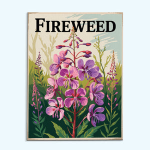 Fireweed - US Wildflowers | Paint by Numbers Kit
